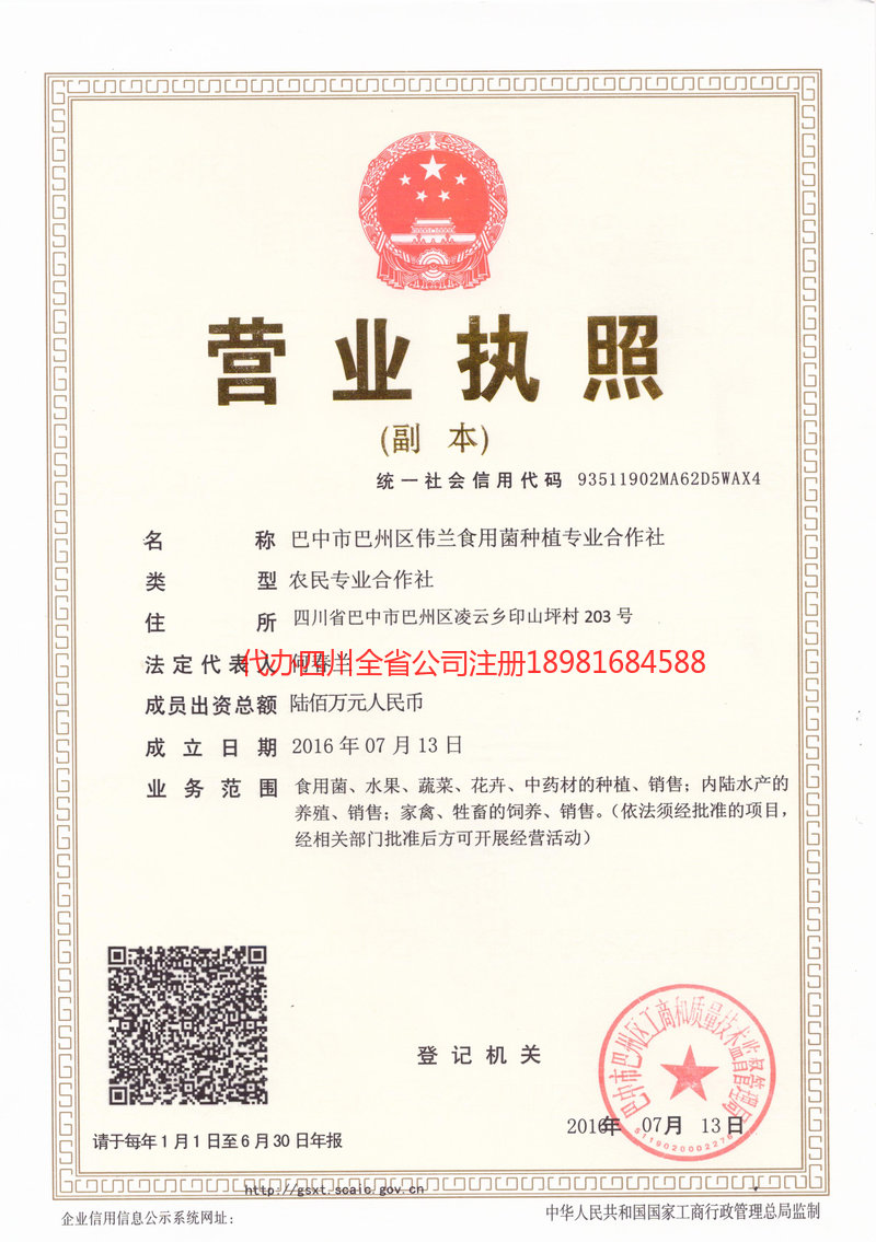 玉门玉门伟兰食用菌种植专业合作社